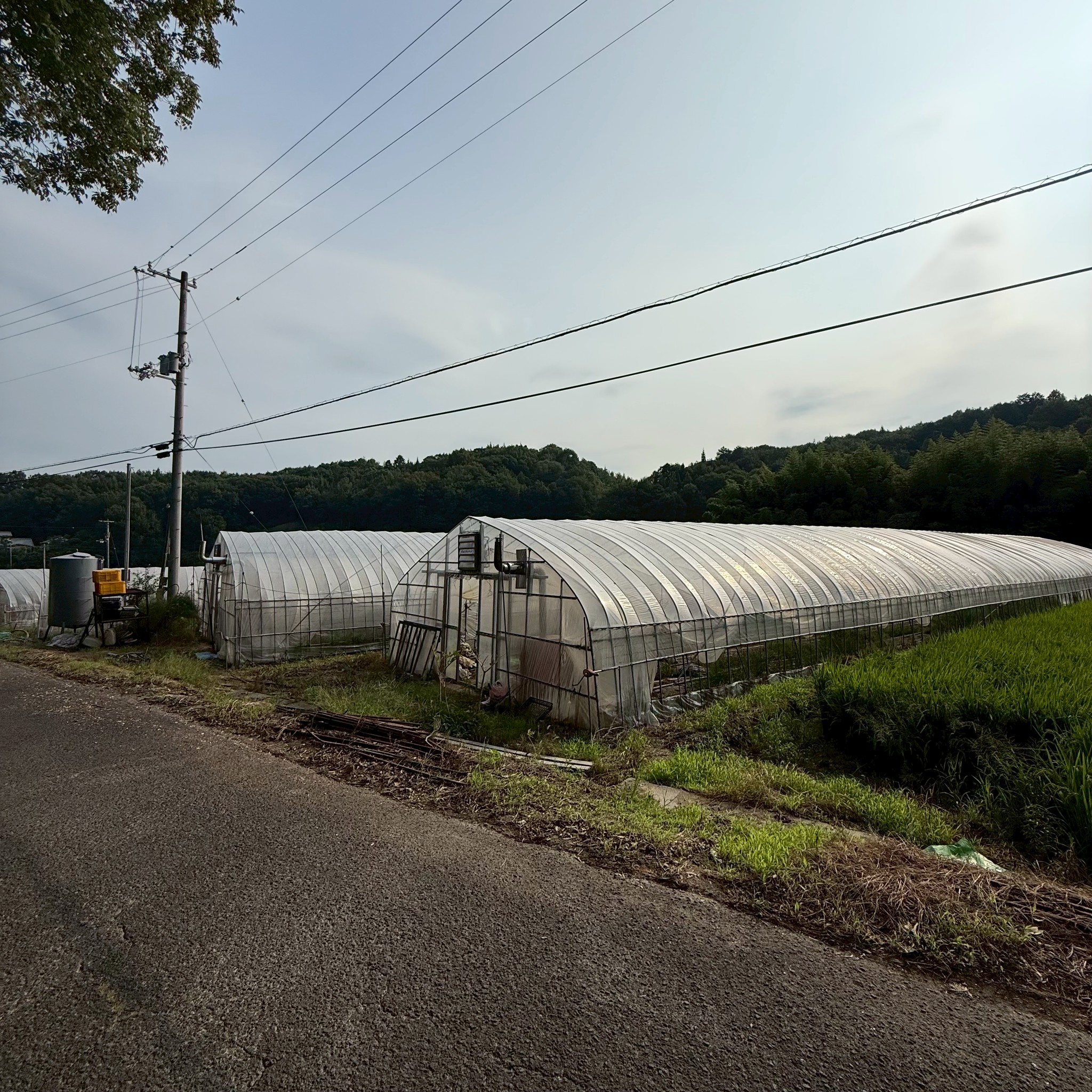 綾川町ビニールハウス解体工事